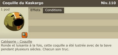 coquille kaskargo